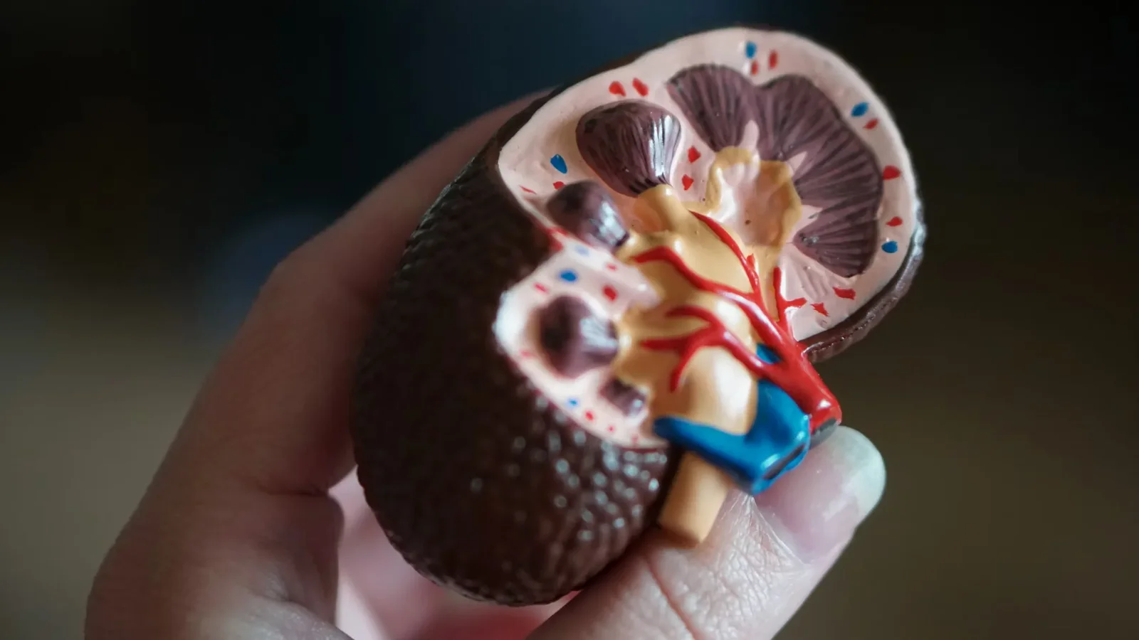 Kidney Stones in Children: 7 Warning Signs Parents Miss